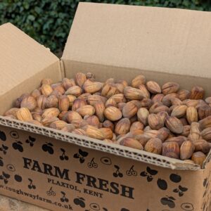 500g – 3Kg: Dehusked Kentish Cobnuts