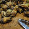 Nut crackers and late season kent cobnuts