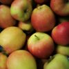 Braeburn Apples from Roughway Farm