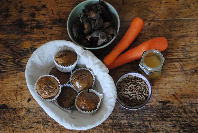 Carrot and Kent cobnut muffins recipe