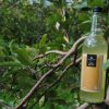 Roughway Farm Cinnamon Apple Juice