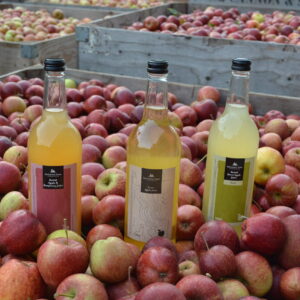 Roughway Apple Juices in bin of Kentish apples