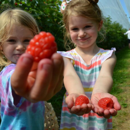 Lovely pick your own raspberries held to camera by two children
