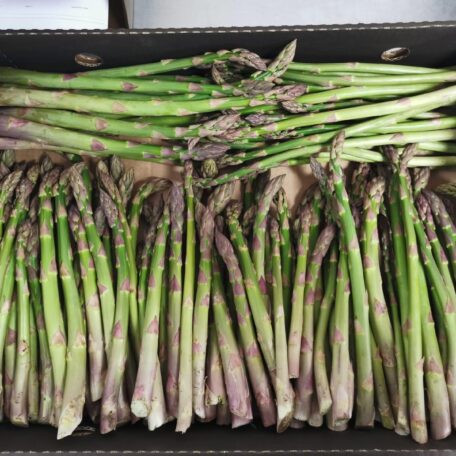 Asparagus Roughway Farm Fresh produce