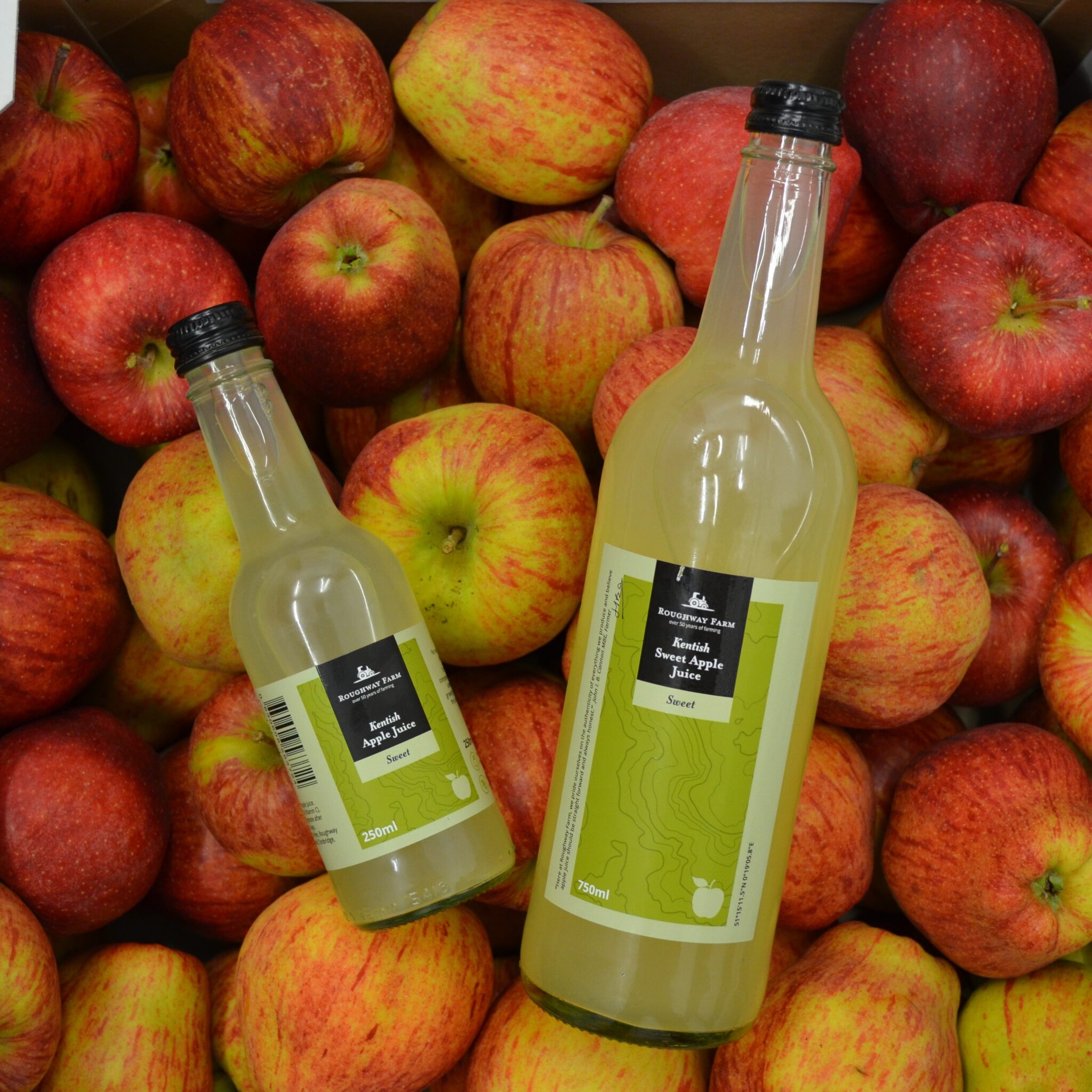 Roughway Farm Online Fresh Produce Kent Cobnuts