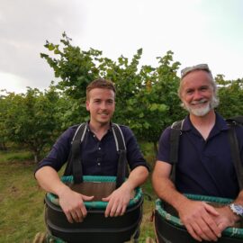 Tom Cannon and Marcus Wareing picking Kent Cobnuts