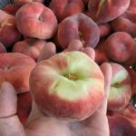 British Flat Peaches 2.5Kg-8Kg