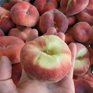 British Flat Peaches 2.5Kg-8Kg